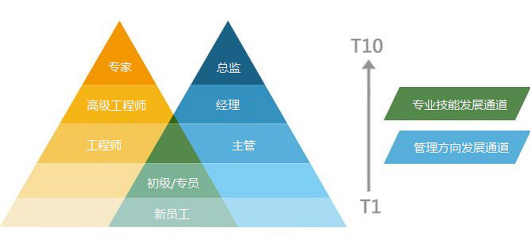 職位晉升通道